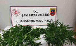 Hilvan’da uyuşturucu ele geçirildi
