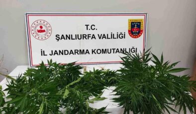 Hilvan’da uyuşturucu ele geçirildi